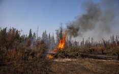 外媒：加拿大男子承认纵火14起，曾烧毁近873公顷森林