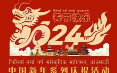 欢欢喜喜过大年:中国驻尼使馆举行首届“欢乐春节”系列庆祝活动