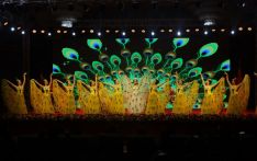 2024“春之声·金梦想”云南跨国新春文艺晚会：傣族舞蹈《金色孔雀》