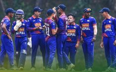 U-19 cricket world cup: Nepal playing New Zealand