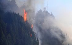 哥伦比亚发生500多起森林火灾 总统宣布国家进入自然灾害状态