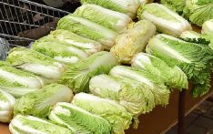 研究发现：世界“最健康蔬果”，中国大白菜第二