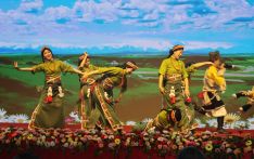 藏历木龙新年：舞蹈《牧场欢歌》