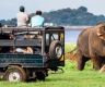 Yala, Bundala safari jeep fares to be increased from February 1: Association