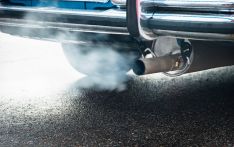 英媒：今年4月起，威斯敏斯特将按照汽车碳排放量收取停车费