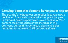 Growing domestic demand hurts power export