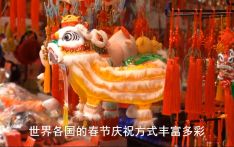 《欢迎来加德满都过大年》参赛视频 欢迎到加德满都过春节宣传片