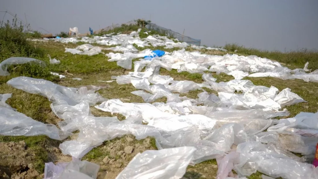 File image of polythene bags. Photo: Collected