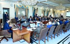 Cabinet approves PIA restructuring