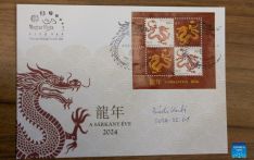Hungarian designer hopes her Year of Dragon stamp connects Hungary, China