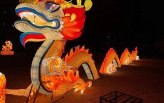 尼泊尔“首届中国新年灯展”