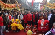尼泊尔华侨华人喜迎龙年 龙狮麒麟舞动喜庆氛围