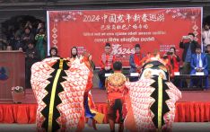 中国新年系列活动巡游：麒麟表演（巴德岗）