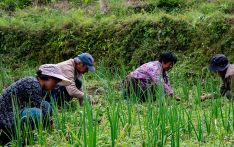 Bhutan secures USD 10M funding for agriculture
