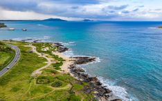 美媒：夏威夷拟向游客征气候税，“为保护天堂付出的小小代价”