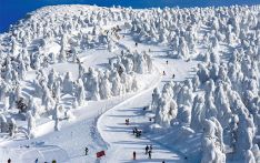 日本《日本时报》：从3800日元的滑雪场拉面瞥见日本的未来