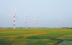 “中孟两国在清洁能源领域合作前景广阔”（共建“一带一路”·第一现场） “