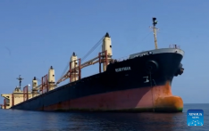Cargo ship sinks off Yemeni coast, sparking environmental disaster fears