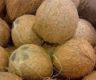 Skyrocketing coconut prices will affect meal packets