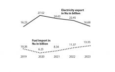 Fuel imports skyrocket while electricity exports plummet