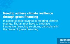 Need to achieve climate resilience through green financing