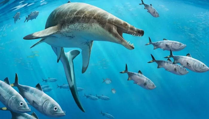 A reconstructed image by scientists depicting how the sea creature must have looked like 66 million years ago. — BBC via University of Bath