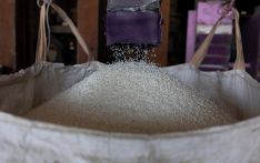 泰国推动扩大对华大米出口，“看好中国市场对高品质大米需求”