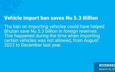 Vehicle import ban saves Nu 5.3 Billion