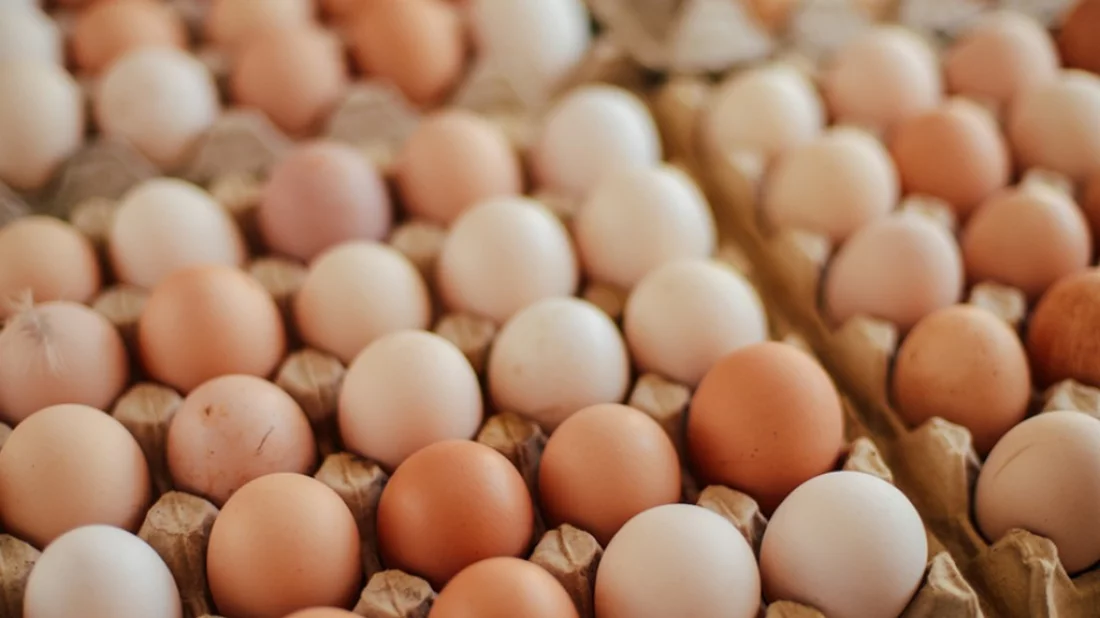 Small farmers demand fair pricing for eggs, chicken