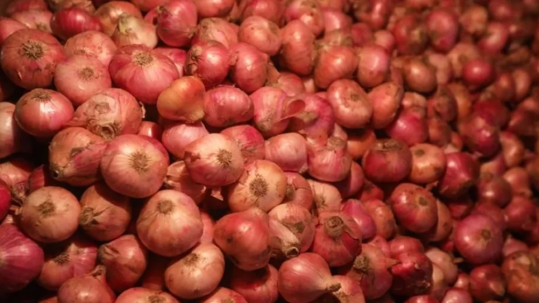 File image of onion. Photo: Dhaka Tribune