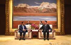王君正严金海会见尼泊尔副总理兼外交部长施雷斯塔