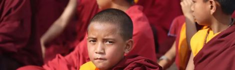 蓝毗尼国际禅修日掠影 近千名僧侣信众开启心灵之旅