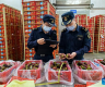 Land-sea corridor facilitates fruit trade between China, ASEAN