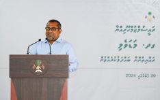 Minister: Health rights not limited to healthcare available at facilities