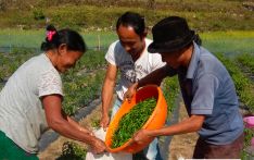 Gender disparity challenges agriculture sector in Bhutan