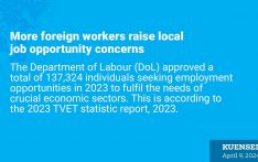  More foreign workers raise local job opportunity concerns