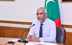 Pres receives investigation report on SO intervention to PNF event