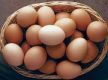 Will import eggs from India again if local prices increase: Minister