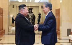 China's top legislator meets DPRK top leader