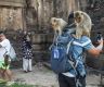  “猴满为患”，泰国旅游小城对猴子“宣战”