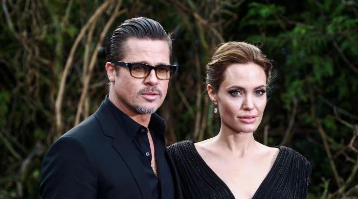 Angelina Jolie accuses Brad Pitt of financial exploitation and control 