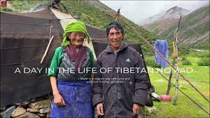 Daily Life of a Tibetan Nomad Family Living in Altitude of 4800 Meters, How is T