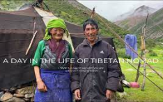 Daily Life of a Tibetan Nomad Family Living in Altitude of 4800 Meters, How is T