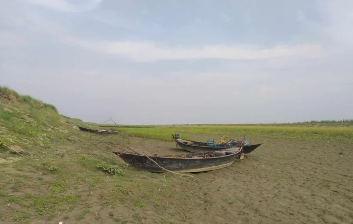 The image shows a dead river in Rajshahi. Photo: Dhaka Tribune