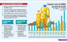 Edible oil market now controlled by big four