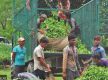                                             印度在边境拦截尼泊尔茶叶进行实验室测试