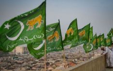 PMLN emerges victorious in by-polls
