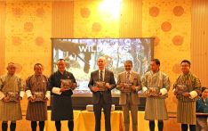 Bhutan now has nine species of wild cats
