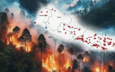 Forest fire destroys 700 hectares forest area in Myagdi