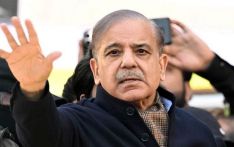 Shehbaz suspends FBR official for delay in tax cases